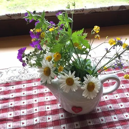 Casetta Dei Cuori - Alpine Style Cozy